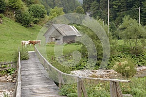 Wooden hut and bridge, Apuseni Mountains, Romania