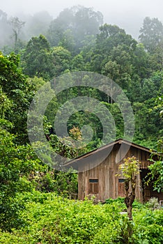 A wooden hut deep inside green forest.