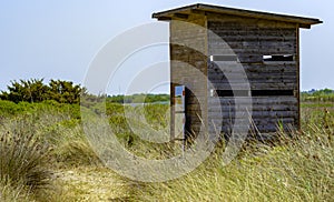 Wooden Hut at `Dune Costiere ` Park,