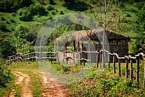 Wooden hut and fence