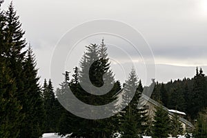 Wooden hut hidden in the forest during deep winter.