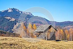 Wooden hut on the hill near autumn forest