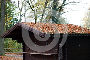 A wooden hut from a hunter and woodworker in the forest
