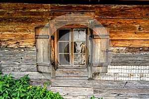 Wooden hut hÃ¼tte farm window in tyrol with cow reflection