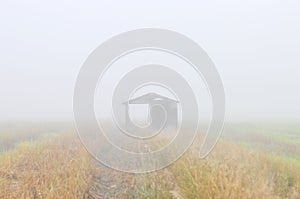 wooden hut in the middle of paddy field on foggy and misty morning