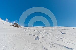 Wooden Hut in Snowy Landscape photo