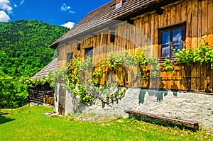 Wooden hut in traditional village, Eastern Europe