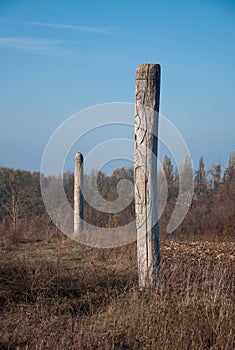 Wooden idol Slavic god Svarog