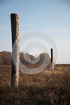 Wooden idol Slavic god Svarog