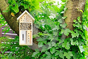 A wooden insect hotel in the tree