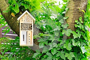 A wooden insect hotel in the tree photo