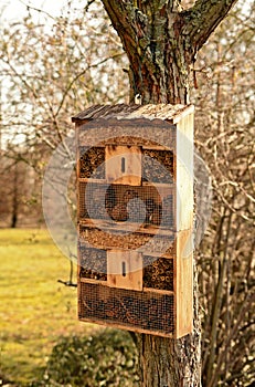 A wooden Insect house or bug hotel, hanging on a tree