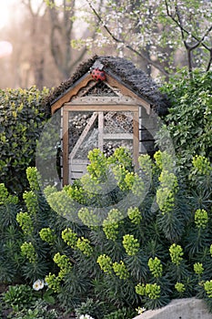 Wooden insect house decorative bug hotel, ladybird and bee home for butterfly hibernation and ecological gardening