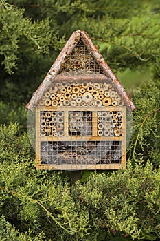 Wooden insect house in a garden