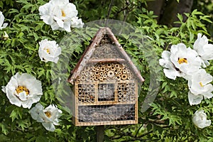 Wooden insect house in a garden