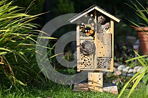 Wooden Insect House Garden Decorative Bug Hotel and Ladybird and photo