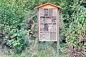 Wooden insects hotel in Dutch forest near Schokland