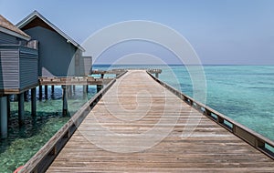 Wooden jetty in exotic Maldives