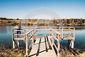 Wooden jetty at lake, river or swamp for viewers and bird watching or fishing