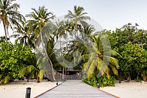 Wooden jetty leading to tropical island with lush palm trees and white sany beach, Maldives