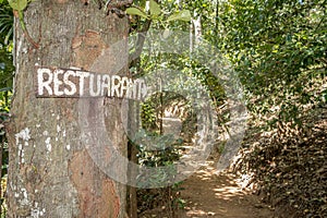 Wooden jungle restaurant sign with spelling mistake nailed to a tree in Sri Lanka forest pointing at a path