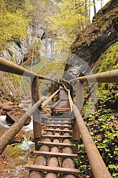Wooden ladder in the Barenschutzklamm area in Styria, Austria. Beautiful waterfalls in the southeast of Austria connect such photo