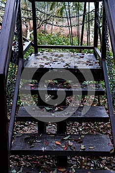 Wooden ladder with iron chain