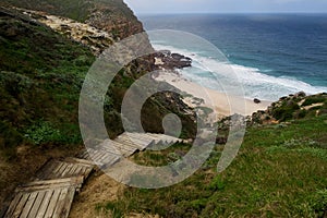 Wooden ladder leading on a wild beach photo