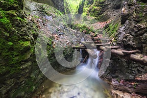 Wooden ladder over small waterfall in Velky Sokol gorge in the Slovak Paradise during summer