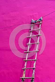 Wooden ladder on a pink wall. Climb up to paint a surface, workers do plain artwork. intense fuchsia facade