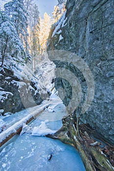 Frozen creek in Sucha Bela gorge in Slovak Paradise during winter