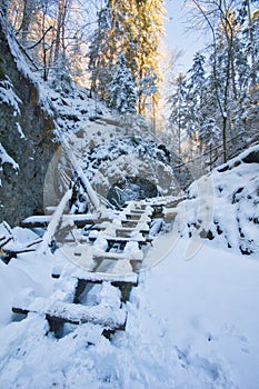 Wooden ladder in Sucha Bela gorge in Slovak Paradise during winter