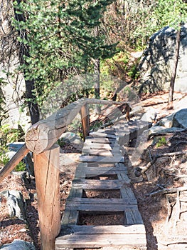 Wooden ladder on trail in Mount Ostas reserve in Table Mountains photo