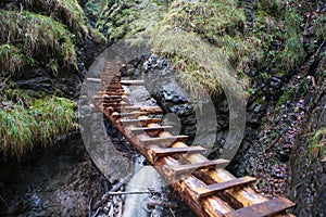 Wooden ladders above gorges in Slovak Paradise tourist destination