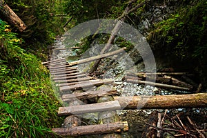 Wooden ladders over the stream in the gorges of the Slovak Paradise