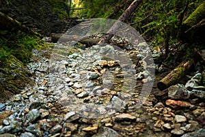 Wooden ladders over the stream in the gorges of the Slovak Paradise