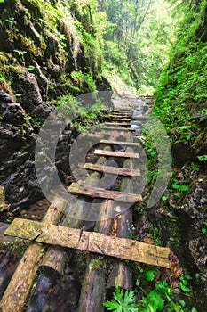 Wooden ladders path in Velky Sokol gorge in the Slovak Paradise during summer