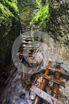 Wooden ladders path in Velky Sokol gorge in the Slovak Paradise during summer photo