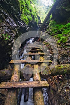 Wooden ladders path in Velky Sokol gorge in the Slovak Paradise during summer