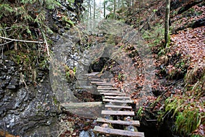 Wooden ladders for tourist paths in Slovak Paradise tourist destination