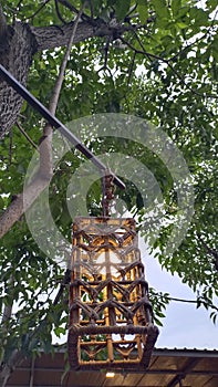 Wooden lamp, lampion, rattan root