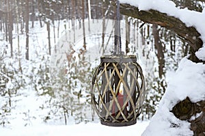 A wooden lantern with a red candle hangs on a tree in a snowy winter forest