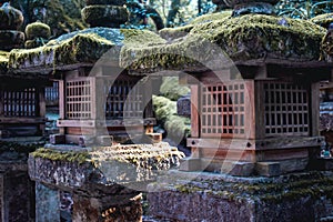 Wooden lanterns covered by moss in Nara Japan