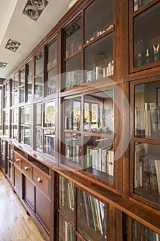 Wooden large library