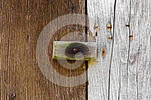 Wooden latch on a wooden door