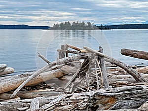 Wooden Lean-To At Jackson Beach