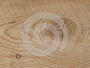 Wooden natural wood background texture