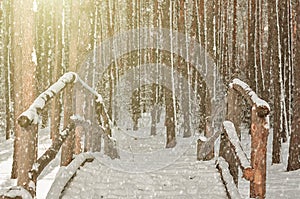 Wooden little bridge in a Coniferous forest covered with snow