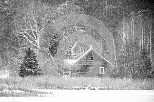 Wooden little cottage in forest, snowing