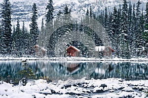 Wooden lodge in pine forest with heavy snow reflection on Lake O'hara at Yoho national park